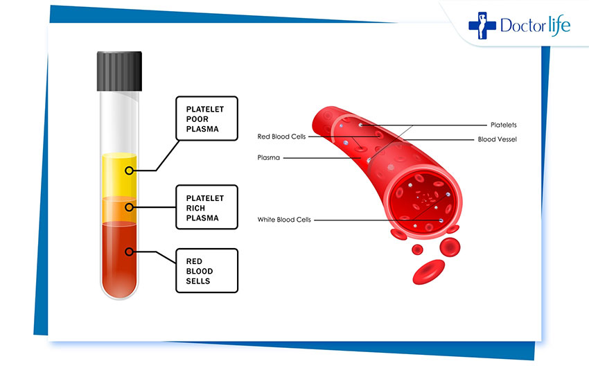 PRP ผม Growth Factor Hair Therapy